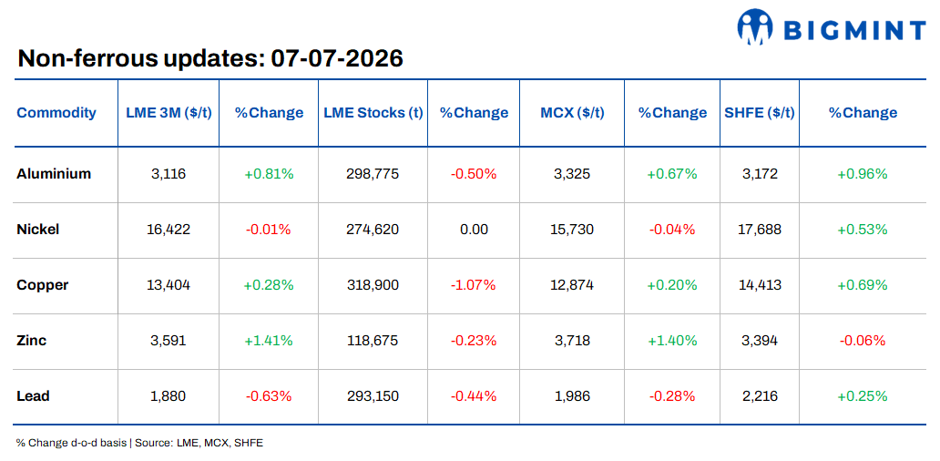 Steel Mint Insights