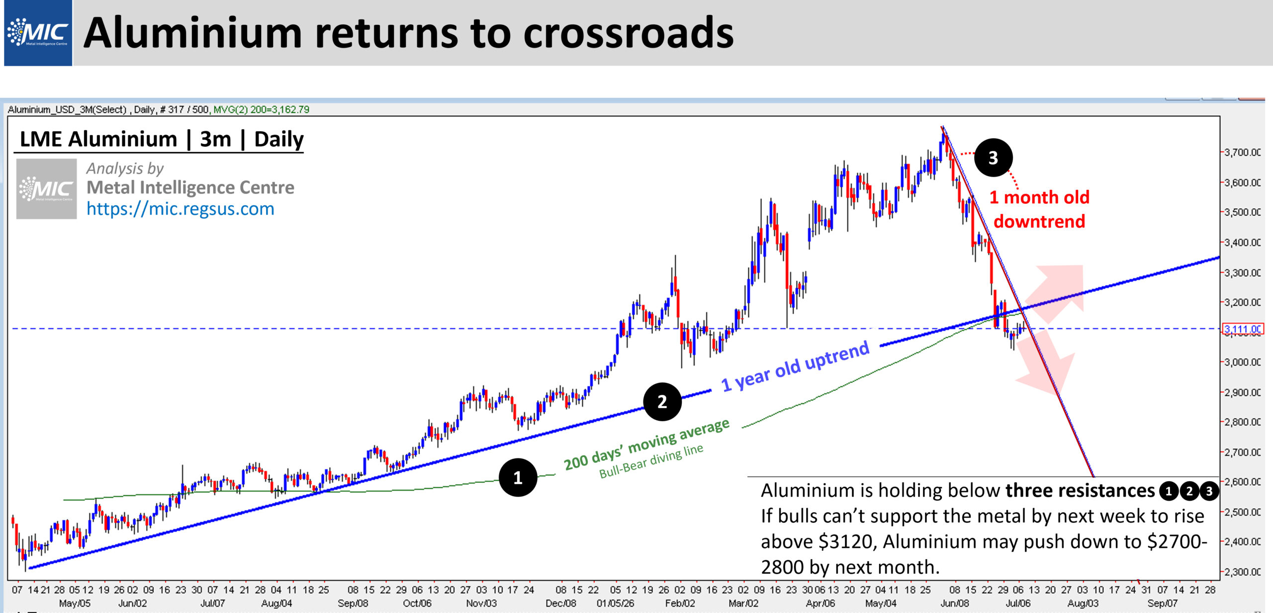 Steel Mint Insights