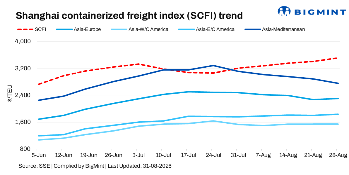 Steel Mint Insights