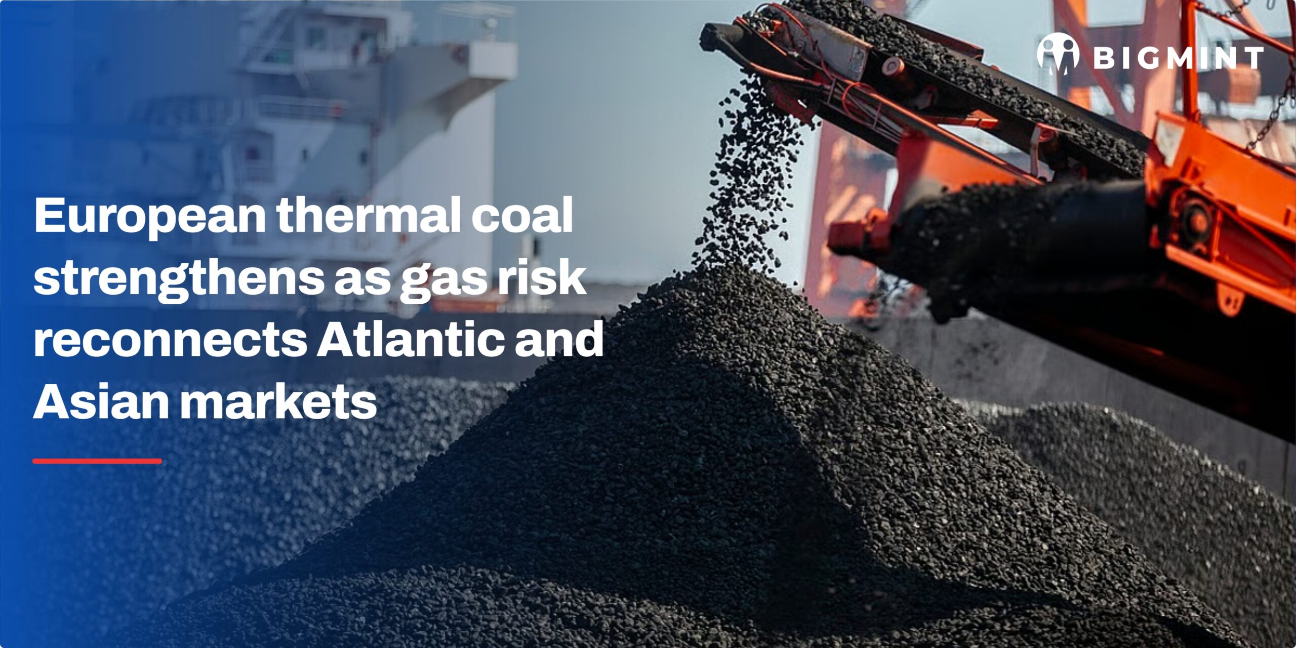 Steel Mint Insights