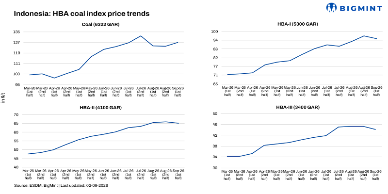 Steel Mint Insights
