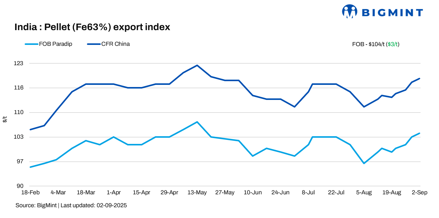 Steel Mint Insights