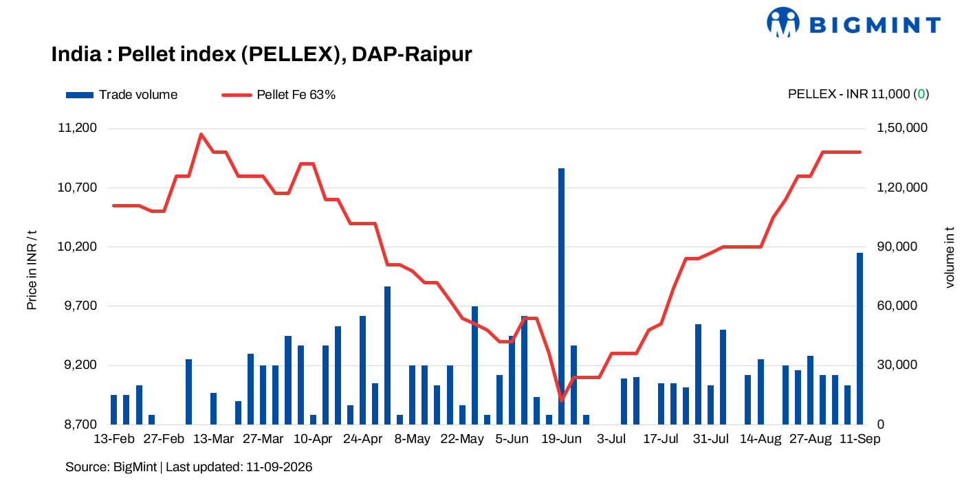 Steel Mint Insights