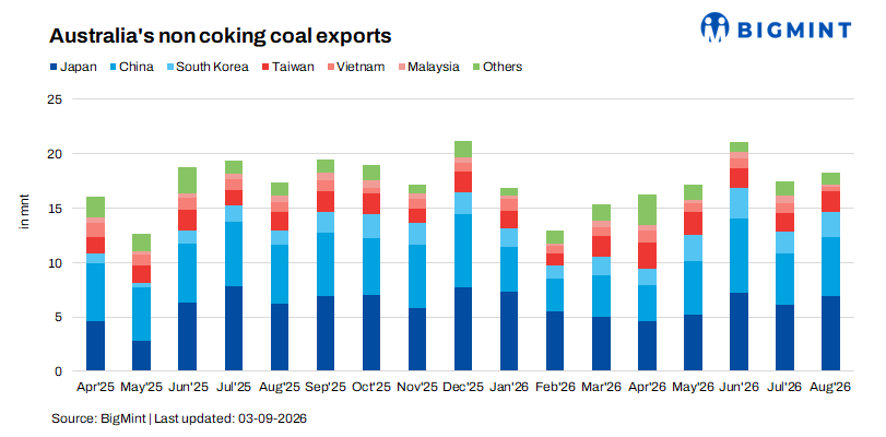 Steel Mint Insights