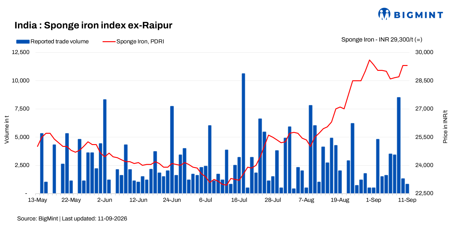 Steel Mint Insights