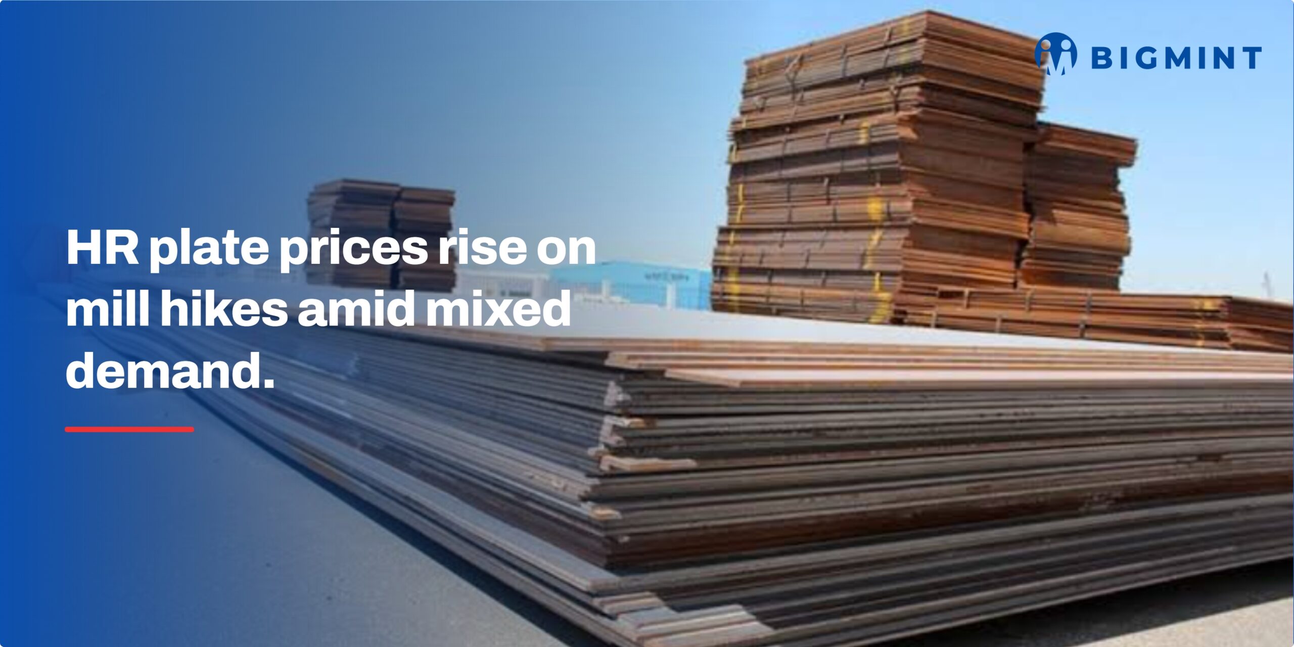Steel Mint Insights