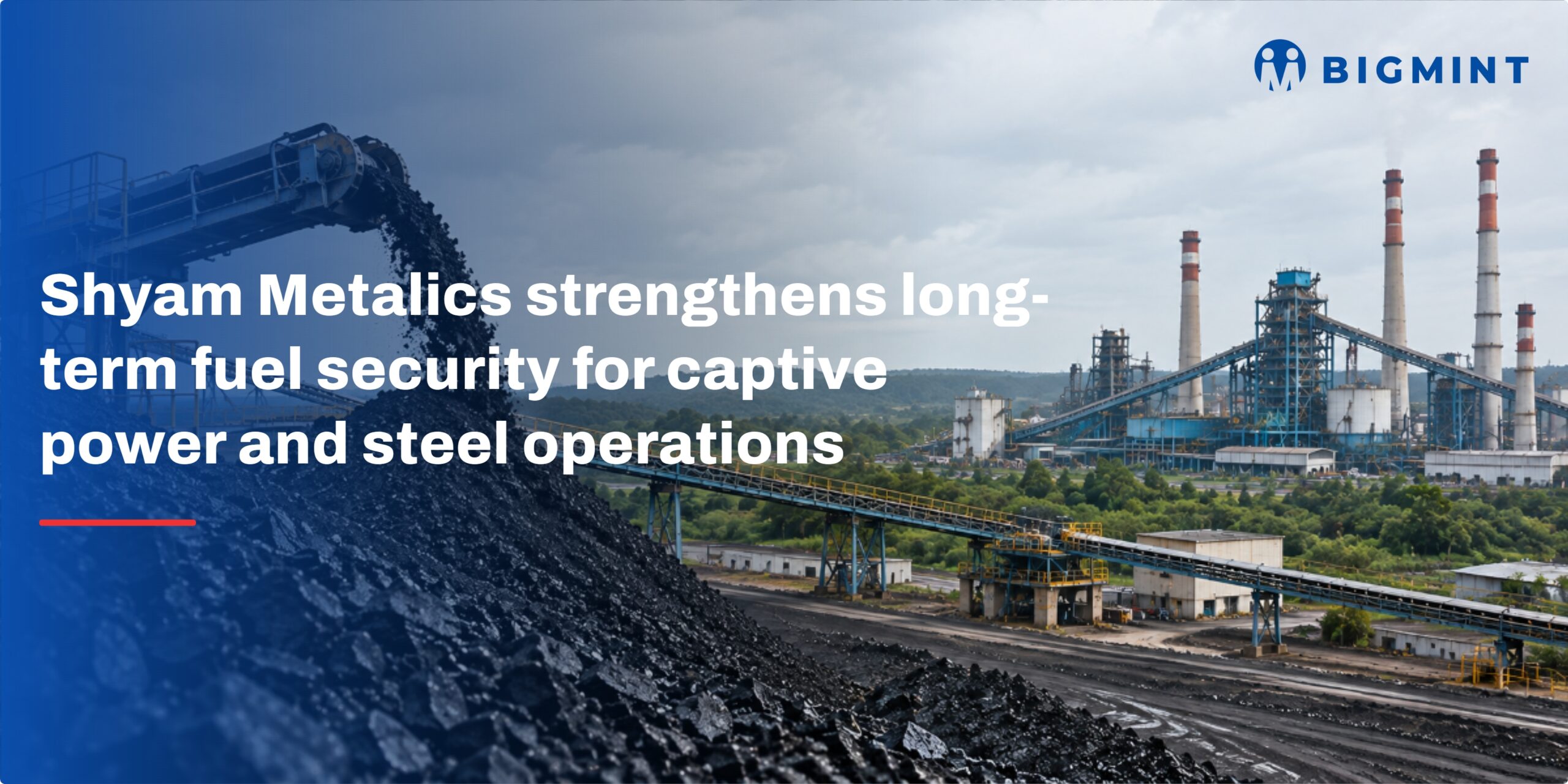 Steel Mint Insights