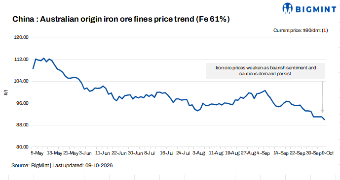 Steel Mint Insights