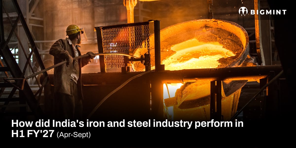 How did India's steel and raw materials industry perform in H1FY'27?  