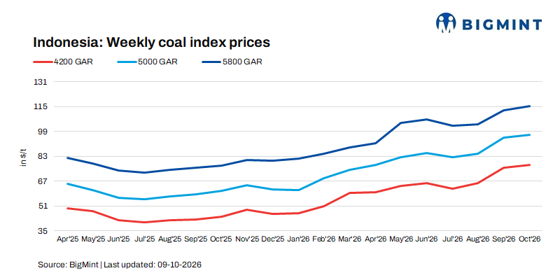 Steel Mint Insights